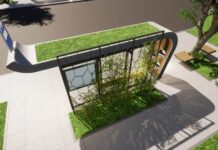 Zielone nad głowami