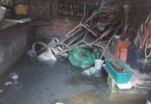 W piwnicach mają jezioro