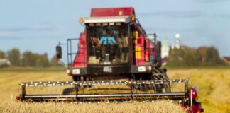 Kombajn nie tylko do zboża – rodzaje i funkcje kombajnów