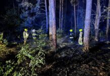 Na tropie podpalacza