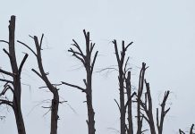 Ukarał, ale wynagrodzi