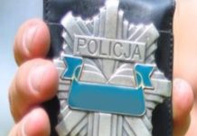 Wpadł jak śliwka…