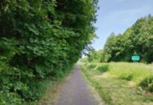 Ścieżka do strzyżenia