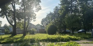 Skwer do rewitalizacji