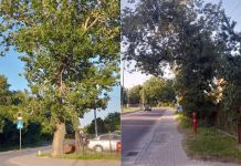 Usuną problem znad głowy