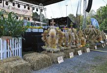 Włodawskie powiatowe święto plonów w Urszulinie