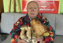 Są grzyby! I to jakie!