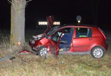 Wypadł z drogi i uderzył w drzewo