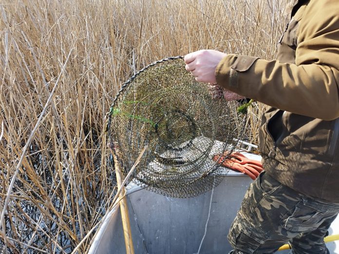 3a209408-4180-4f0f-a6d2-f39f3d182857