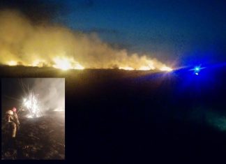 Potężny pożar traw. Łunę było widać z kilometrów