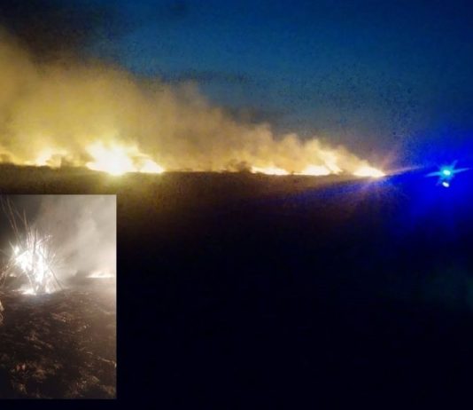 Potężny pożar traw. Łunę było widać z kilometrów