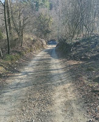 Powiatowa, a gruntowa