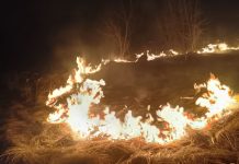 Policjanci zapobiegli dalszemu pożarowi traw