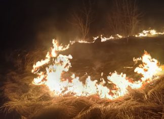 Policjanci opanowali ogień Policjanci zapobiegli dalszemu pożarowi traw