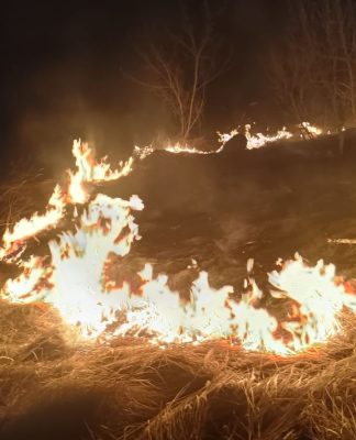 Policjanci zapobiegli dalszemu pożarowi traw