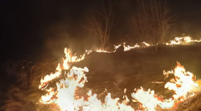 Policjanci zapobiegli dalszemu pożarowi traw