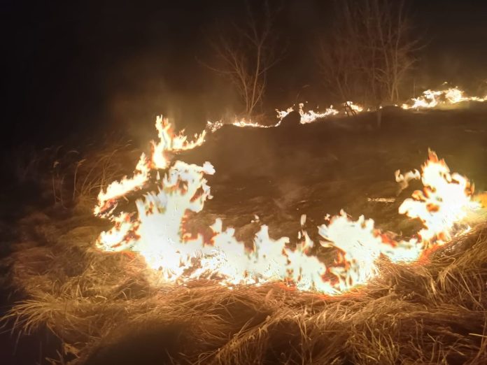 345-288142 Policjanci zapobiegli dalszemu pożarowi traw